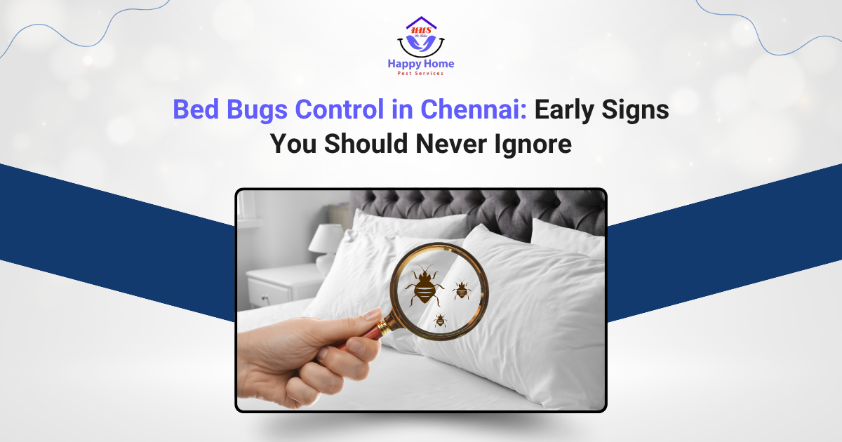 Bed Bugs Control in Chennai