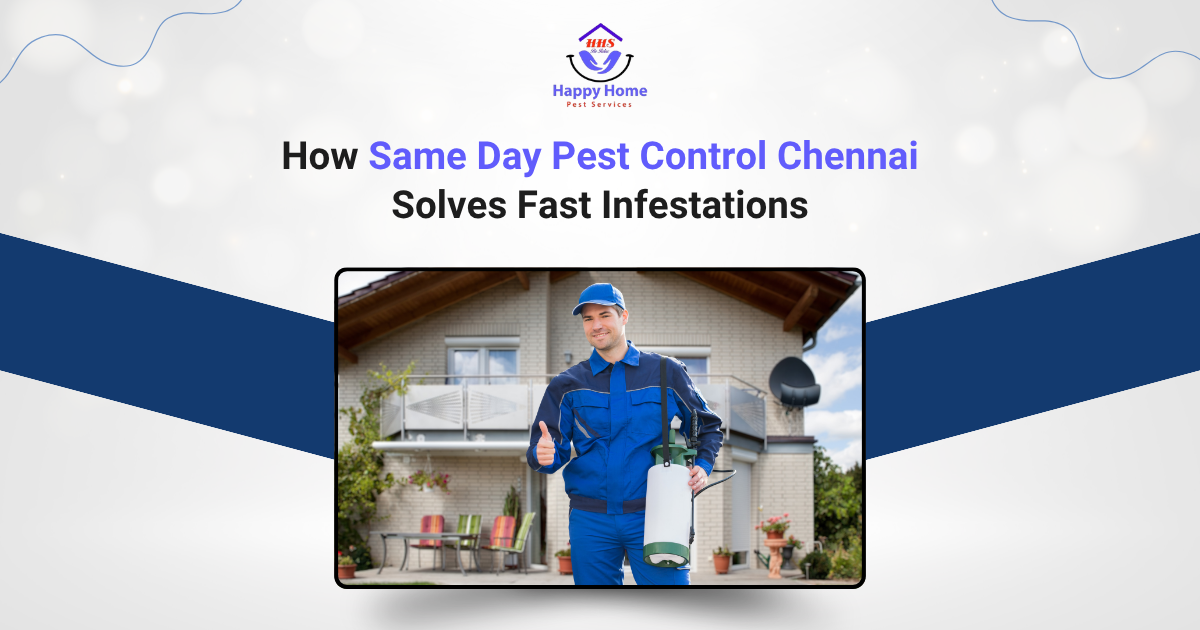 Same Day Pest Control Chennai