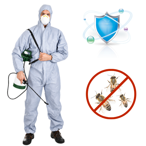 Bee Control Chennai