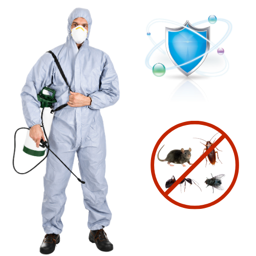 Pest Control Services Chennai