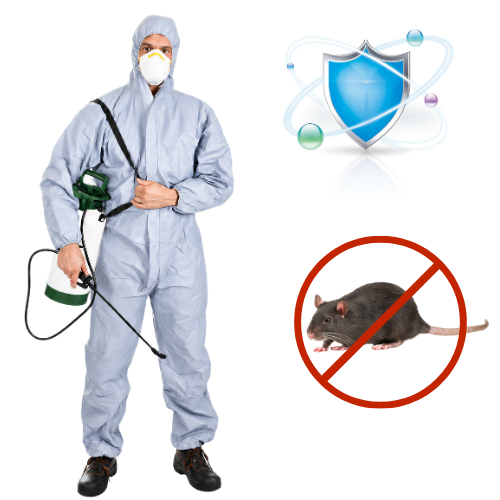 Rodent Control Service in Chennai