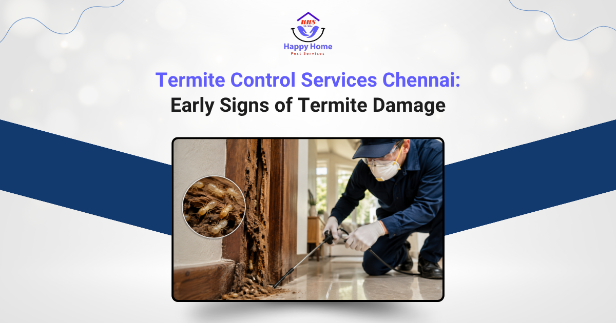 Termite Control Services Chennai