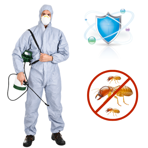 Termite Control Services Chennai