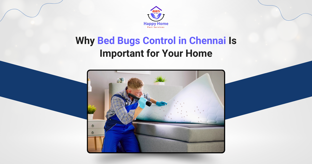 Bed Bugs Control in Chennai