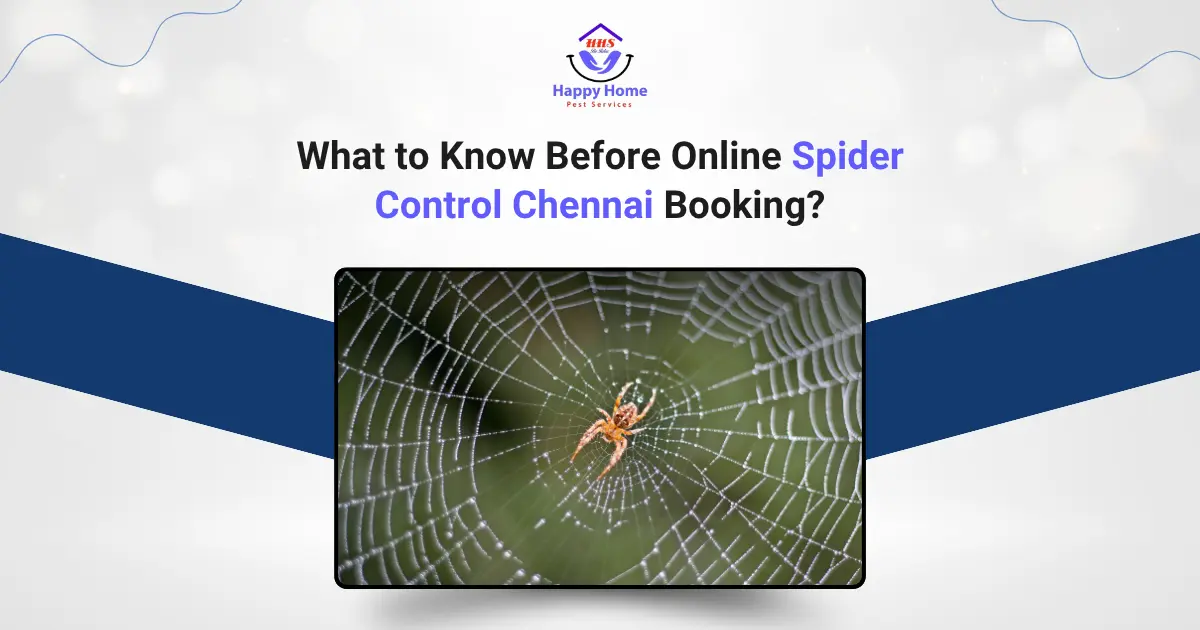 What to Know Before Online Spider Control Chennai Booking?