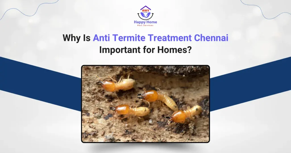 Why Is Anti Termite Treatment Chennai Important for Homes?