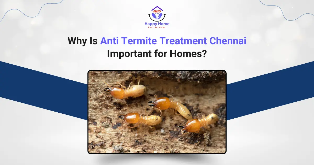 Why Is Anti Termite Treatment Chennai Important for Homes?