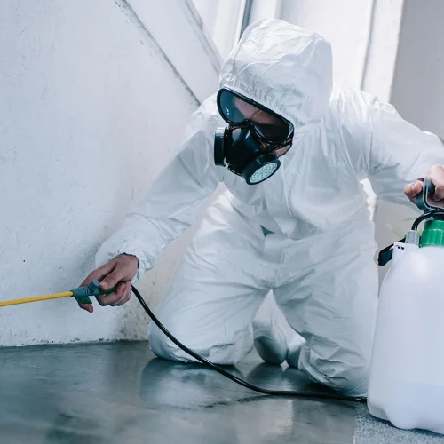 Residential Pest Control Chennai